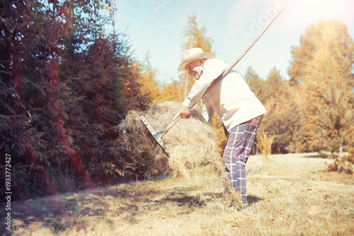 Bild auf Leinwand A man is raking the cut grass