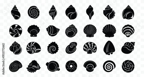 Collection of black seashells on transparent background, ocean shells