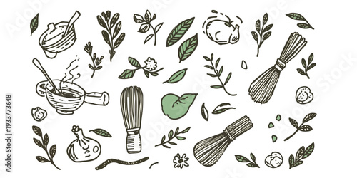 Collection of hand-drawn botanical elements and matcha preparation tools, presented in a doodle art style