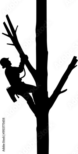 Black silhouette of an arborist climbing a tree for pruning and removal work, vector illustration of a tree care professional at work