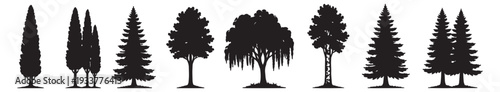 Set of tree silhouettes coniferous trees, spruce, pine, cypress, thuja, weeping willow vector