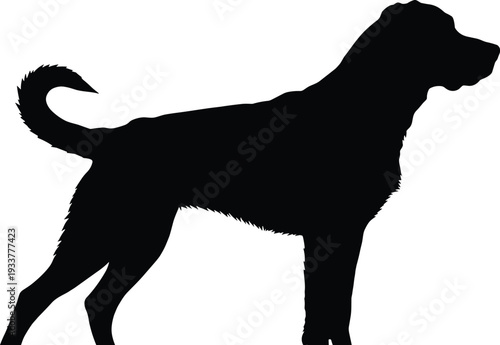 Black dog silhouette isolated on white background standing side view profile of a large retriever hound or labrador mutt for graphic design and icons