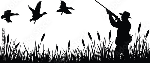 Black silhouette of a duck hunter with a shotgun aiming at mallards flying over a marshy wetland with cattails and tall grass plants.