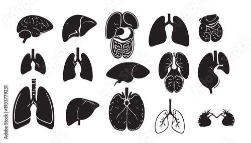 Set of vector Silhouette human organ