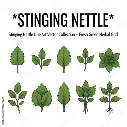 Stinging Insect Concept Vector Illustration with Sharp Pain Symbol on Clean Background