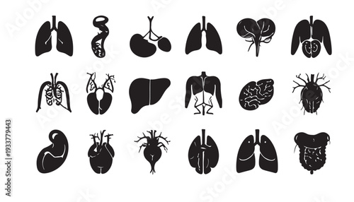 Set of  silhouette illustration showcasing various human internal organs. human organ design
