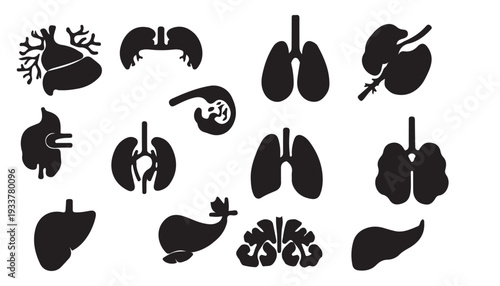 Set of internal human body Silhouette 