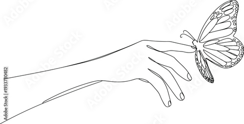 Delicate Butterfly Resting on Woman Hand Line Art Illustration Symbolizing Freedom Transformation Beauty and Nature Connection