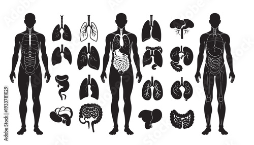 A simple black vector illustration showing the silhouettes of a  man in a classic, artistic icon style