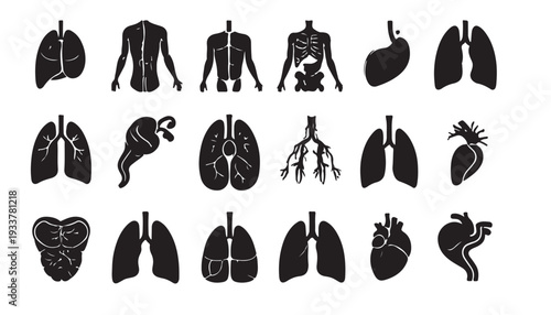Vector illustration collection of human organ  silhouettes