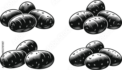 Vintage Engraving Style Vector Illustration Set of Organic Raw Potato Heaps Isolated on White Background for Rustic Food Packaging and Farm Market Branding