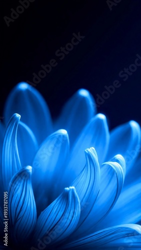 Blue Glowing Abstract Petal Background
