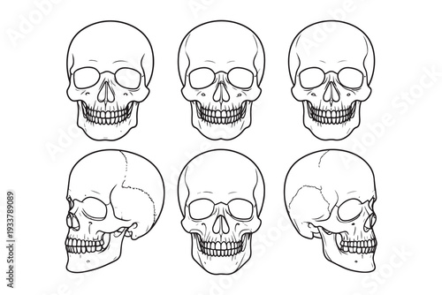 Set of handrawn a  scary black illustration of a human skull with crossbones 