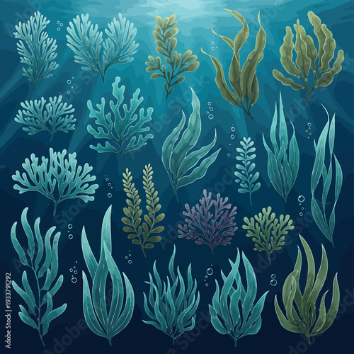 Underwater Scene with Diverse Seaweed and Marine Life from an Overhead Viewpoint