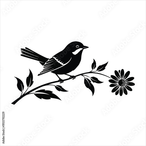 vector illustration of a bird