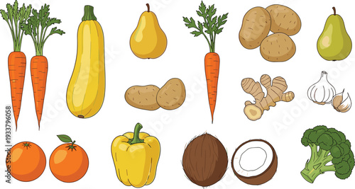 Fresh vegetables and fruits set with carrots potatoes pear coconut broccoli and more hand drawn vector illustration