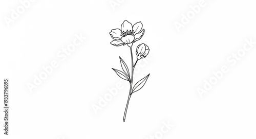 Canvastavla Delicate hand-drawn flower illustration with leaves and stem.