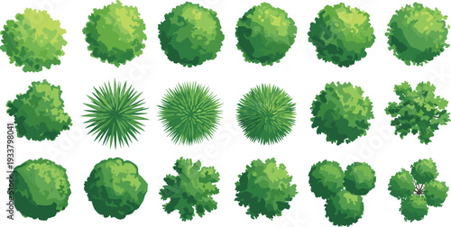 Vector collection of architectural landscape design tree symbols from top view for garden planning park layout master site map and outdoor greenery project.