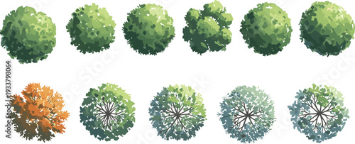 Vector collection of architectural landscape design tree symbols from top view for garden planning park layout master site map and outdoor greenery project.