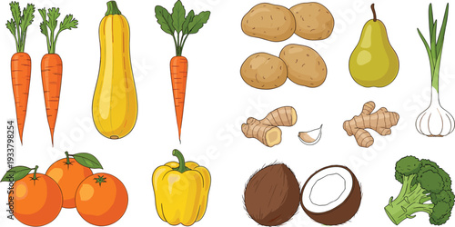Fresh vegetables and fruits set with carrots potatoes pear coconut broccoli and more hand drawn vector illustration