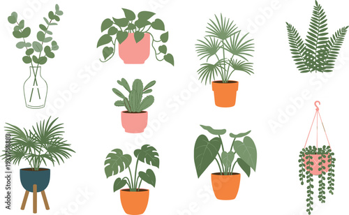 Decorative indoor plants collection with monstera fern palm and hanging houseplants flat vector illustration set