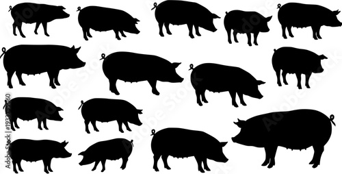 Set of black pig silhouettes in various poses, depicting farm animals and livestock, isolated on a clean white background, perfect for design elements.