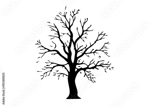 Bare Tree Silhouette Vector, Leafless Tree Silhouette Illustration, Natural Forest Tree