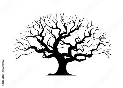 Bare Tree Silhouette Vector, Leafless Tree Silhouette Illustration, Natural Forest Tree