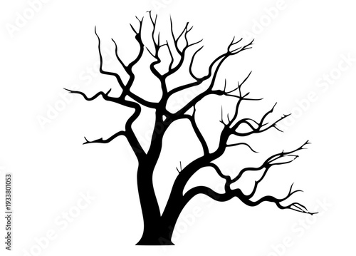Bare Tree Silhouette Vector, Leafless Tree Silhouette Illustration, Natural Forest Tree