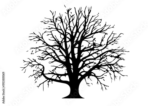Bare Tree Silhouette Vector, Leafless Tree Silhouette Illustration, Natural Forest Tree