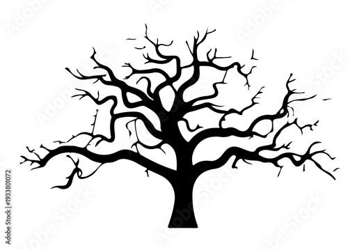 Bare Tree Silhouette Vector, Leafless Tree Silhouette Illustration, Natural Forest Tree