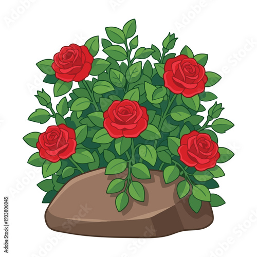 Red Rose Bush with a Rock