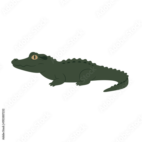 Stylized Green Alligator with Detailed Scales and Open Eye.
