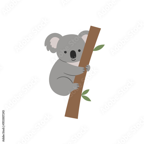 Cute Koala Gripping a Tree Branch.