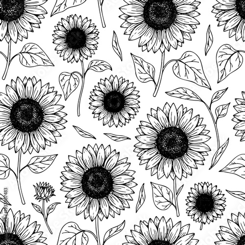 A detailed black ink drawing of blooming sunflowers. Seamless floral background featuring large sun flowers, buds, and leaves in engraving style for summer and autumn decor.