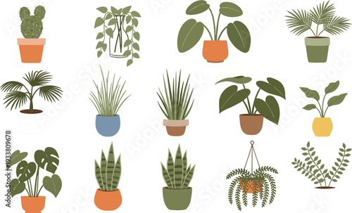 Indoor potted plants collection with cactus palm monstera fern and decorative houseplants flat vector illustration set