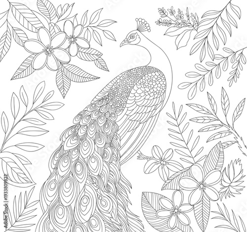 Majestic peacock perched among lush tropical flora coloring page for adults, decorative bird sanctuary art, cad drawing flat vector illustration