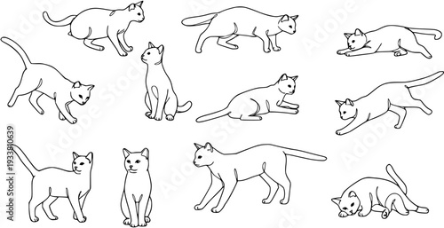 Cat Poses Line Art: Silhouette Collection of Felines in Various Positions
