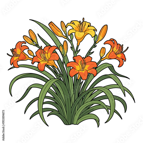 Vibrant orange and yellow flowers blooming in a lush green garden from a close-up front viewpoint