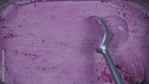 Wallpaper Mural Fruit ice cream in a metal container, scooped out with a packing spoon. Torontodigital.ca