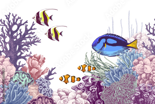 Underthesea vector background with coral reef and fishes