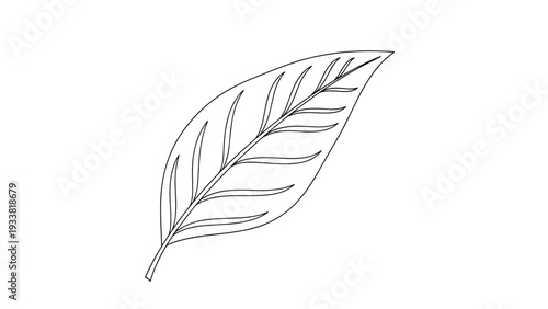 Minimalist black and white continuous one-line drawing of a single leaf, representing nature and simplicity in a modern style.