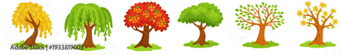 Set of six cute cartoon trees with different leaf shapes and colors, representing seasons and nature variety. Flat vector illustration for landscape design.