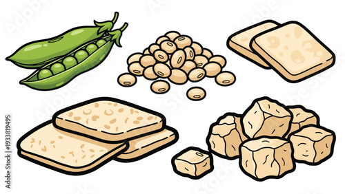 Assortment of soy products including green edamame pods, dried soybeans, blocks of firm tofu, and slices of fermented tempeh.
