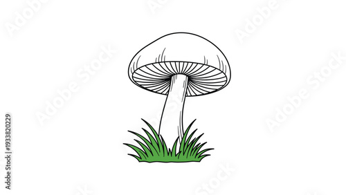 Simple hand-drawn illustration of a single mushroom with a large cap and gills, growing in a small patch of green grass.