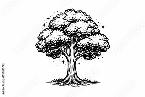 A serene illustration of a majestic tree standing tall with intertwined trunks surrounded by stars in a mystical forest landscape viewed from a gentle distance