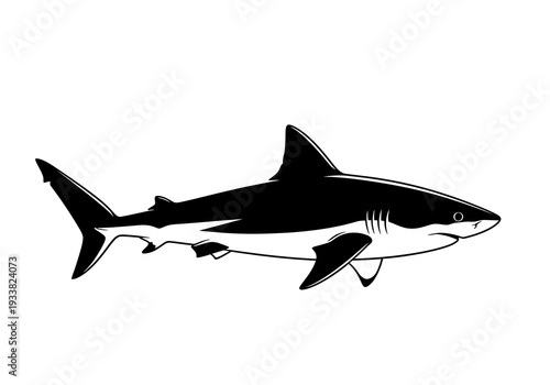 A black and white shark swims rightward Its features include fins a tail a pointed snout and gills