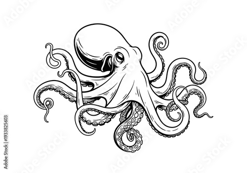 Line art illustration of an octopus with detailed tentacles suction cups and a bulbous head on a white background