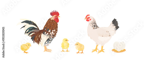 Cute cartoon farm birds collection. Vector hand drawn illustrations of Chicken family. Hen, Rooster and little Chicks isolated on white background. Set of poultry clip art. 