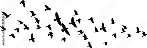 Black Bird Flock Silhouette Isolated on White Background Featuring Flying Pigeons and Crows in Formation for Nature Migration Freedom Concept and Minimalist Sky Vector Graphic Design Illustrations